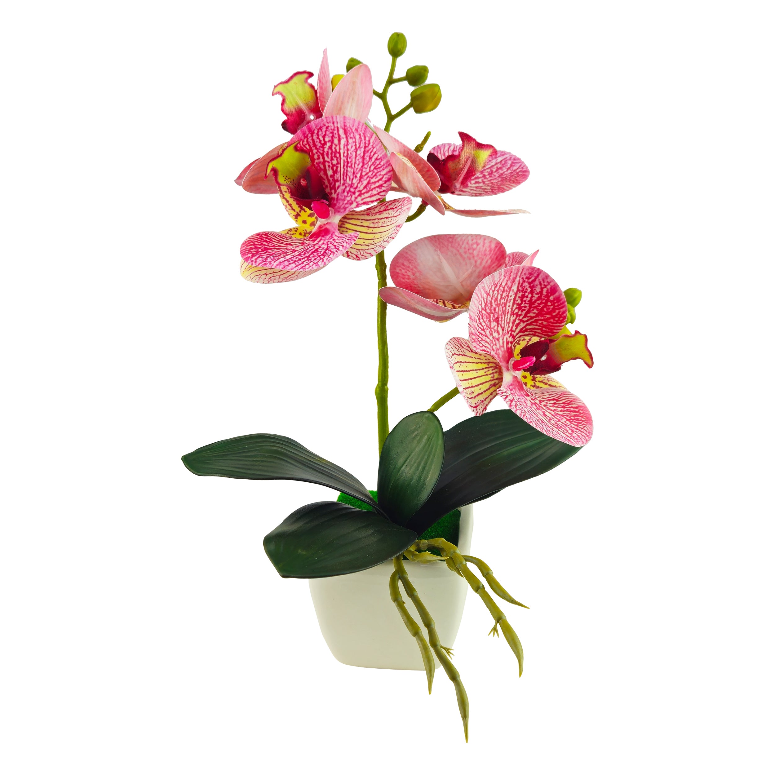 Orchidea artificiale cm 30 con vaso in ceramica