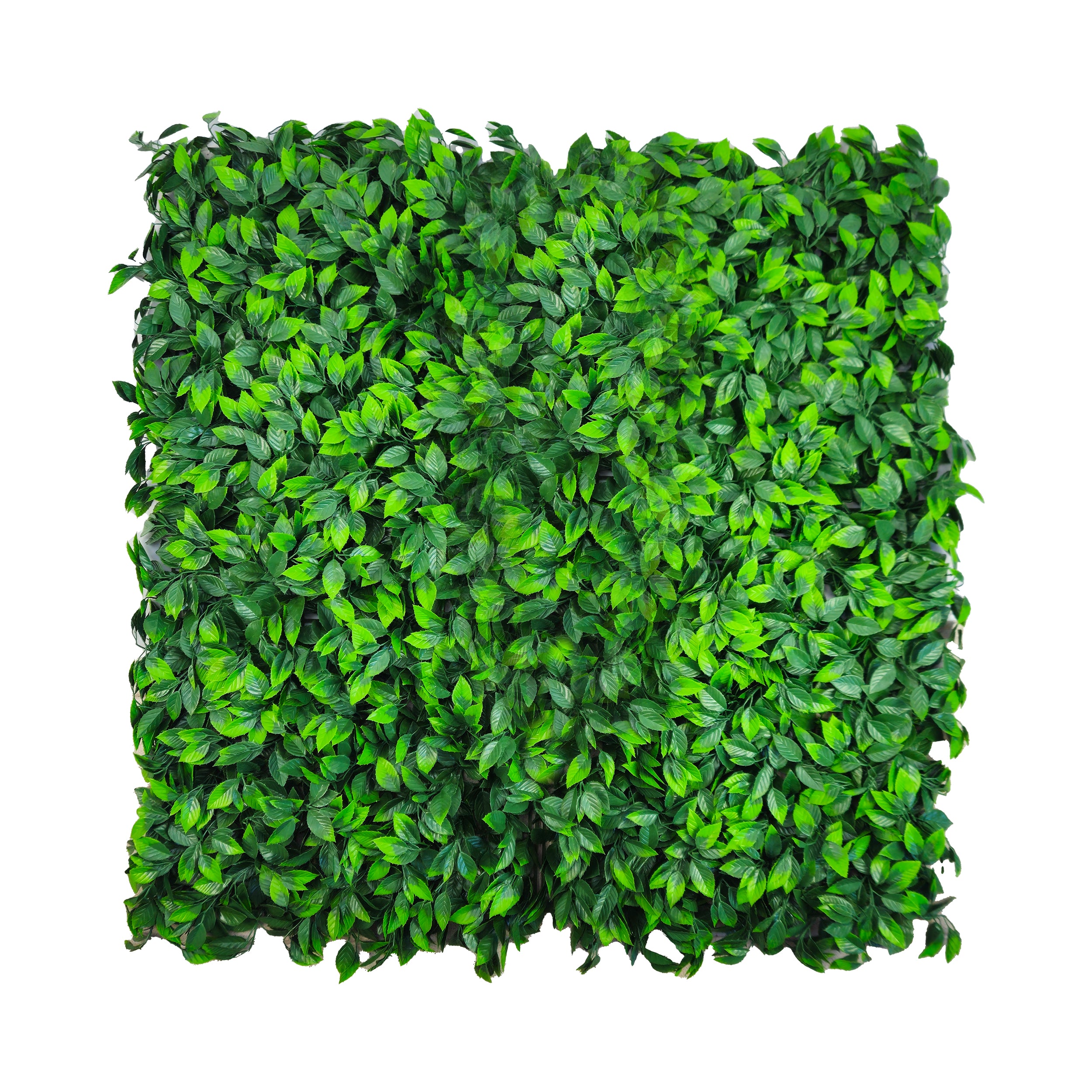 Pannello verde verticale 100x100 cm